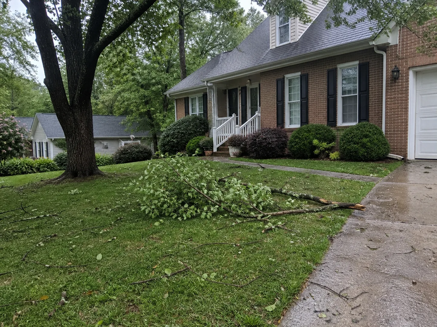 Before — Storm Branch Cleanup