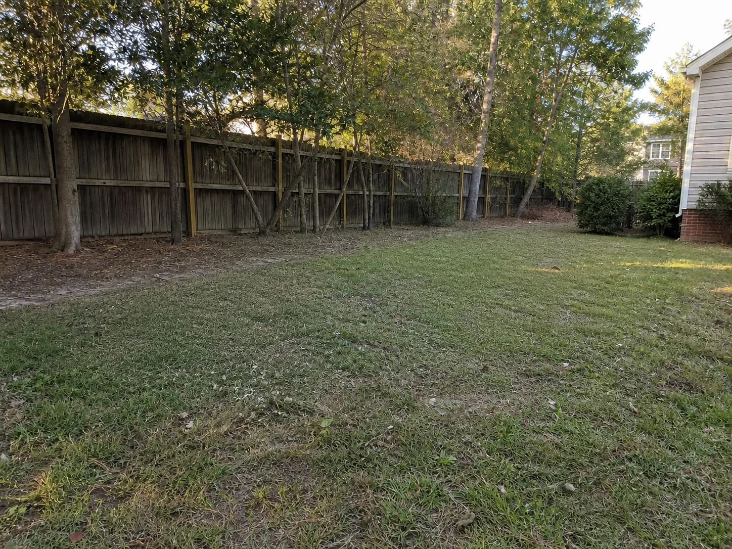 Storm Yard Cleanup