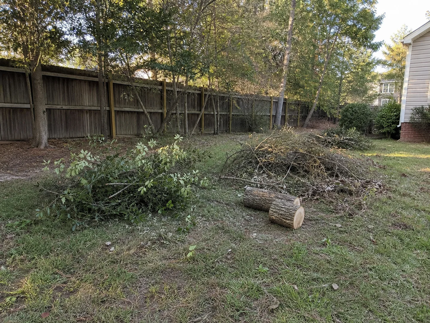 Before — Storm Yard Cleanup